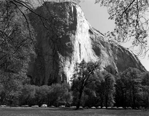 On the weekends the traffic is always bumper to bumper just like a commute day. You drive for four hours to look at El Capitan for four minutes, and most people never get out of the car. 1977 Bill Owens
